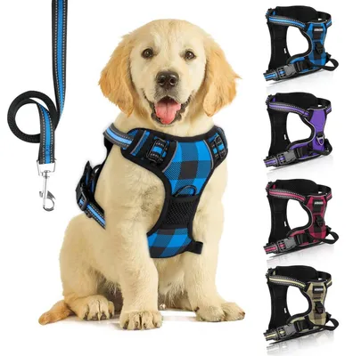 Produktbild von Hundegeschirr mit Leine, Reflektierend, Blau Kariert, Größe L