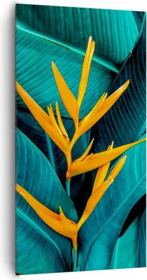 Produktbild von Bild auf Leinwand - Leinwandbild - Einteilig - Blumen Tropen Blätter - 65x120cm - Wand Bild - Wanddeko - Wandbilder - Leinwanddruck - Bilder - Wanddekoration - Leinwand bilder - PA65x120-5116