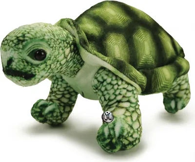 Produktbild von Schildkröte Landschildkröte grün Plüschtier Kuscheltier Plüschschildkröte TURTOK