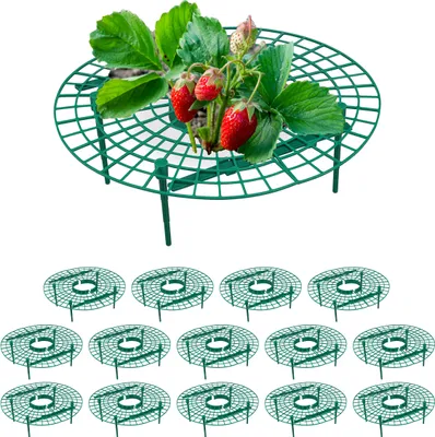 Image de Tapis de fraises RD49614, 15pcs.