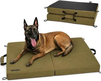 Imagen del producto de Cama plegable para perros, con espuma viscoelástica, de 110 x 68 x 9 cm