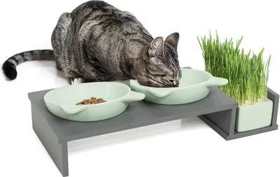 Obrázok produktu pre Misky pre mačky | Cat bar | Kanadská mačka | mätovo šedá