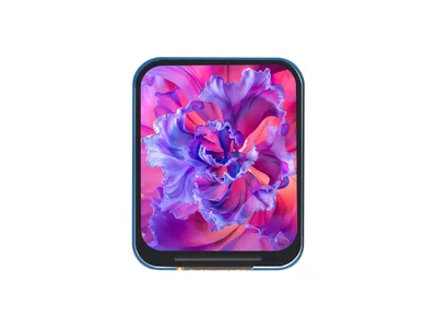 Produktbild von WaveShare 1.69inch LCD Display Module 240x280 IPS SPI Interface 262K Colors