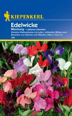 Artikelbild 2 von 'Edelwicke Mischung' aus der Kategorie Blumensamenmischung