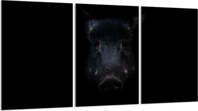 Produktbild von Glasschutzplatte für Herd 3x30x52