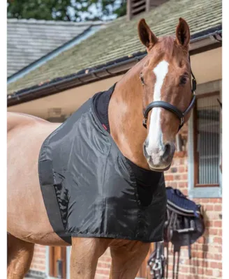 Image de LeMieux Protège poitrail Anti-Rub Bib - Taille L