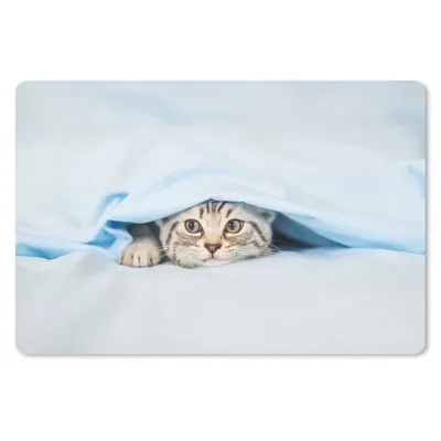 Produktbild von MuchoWow® Mauspad Mousepad Ein Kätzchen unter einer Decke 27x18 cm - Mousepads - Maus Mat - Pad - Mausunterlage - Büroartikel - Desk Matten