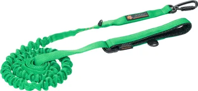 Obrázek produktu pro Vodítko pro psy JoQu Ultra Strong Runners tlumící nárazy, zelené