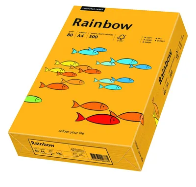 Immagine prodotto di PAPYRUS carta multifunzione Rainbow A4 media arancione