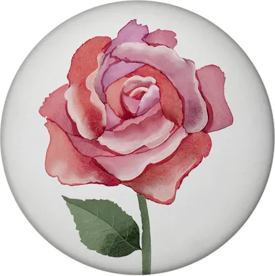 Produktbild von Rose Magnet mit Flaschenöffner rund
