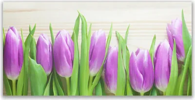 Produktbild von Tulup Leinwand-Bilder 140x70 Wandbild Canvas Kunstdruck Tulpen Pflanzen