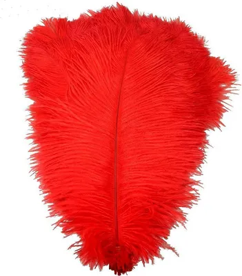 Obrázek produktu pro Pštrosí peří 20-25 cm, barva červená / 1ks