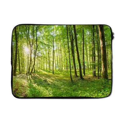 Produktbild von MuchoWow® Laptop Hülle 14 ZollNatur - Bäume - Wald - Grün - Sonnenlicht Laptoptasche - Laptoptasche - Stoßsicher - Schutzhaube