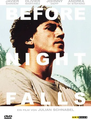 Produktbild von Before Night Falls