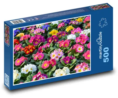Obrázek produktu pro Puzzle 500 Barevné květiny petrklíče - martinpuzzle