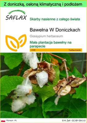 Zdjęcie produktu dla SAFLAX - Garden to go - Bawełna W Doniczkach - 12 Nasiona - Z doniczką, pokrywą klimatyczną i podłożem do uprawy - Gossypium herbaceum
