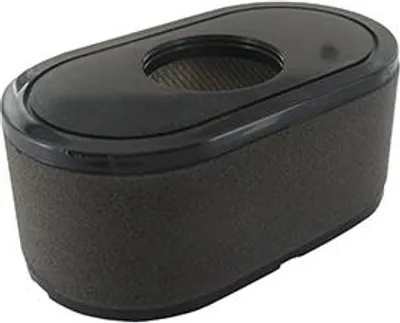 Image de Filtre à air pour modèles Loncin Lc2p76f. Origine : 180100123-0001.