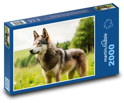 Obrázok produktu pre Puzzle 2000 Vlk v divokej prírode - martinpuzzle