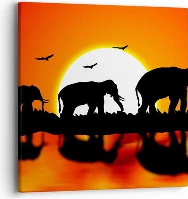Produktbild von Bild auf Leinwand - Leinwandbild - Tiere Afrikaner Elefanten Natur - 40x40cm - Wand Bild - Wanddeko - Leinwanddruck - Bilder - Kunstdruck - Wanddekoration - Leinwand bilder - Wandkunst - AC40x40-0533