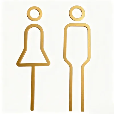 WC-Schild goldfarben Acryl 3D-Design selbstklebend 2 Stück