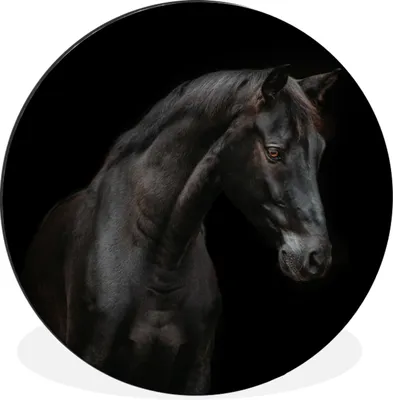 Produktbild von MuchoWow® Aluminium Wandkreis Pferd - Tier - Schwarz Ø 30 cm Wanddeko Modern Wohnzimmer - Wand Bild - Wohnzimmer - Runde Bilder - Alubilder - Kunst für zu Hause - Aluminium - Wanddekoration