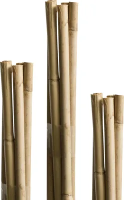 Produktbild von Windhager Tonkinstäbe 60cm 10 Stück