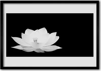 Produktbild von Bild 70x50 MDF-Rahmen Wandkunst Natur Blume Pflanze