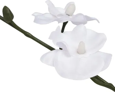 Obrázek produktu pro vidaXL Umělá orchidej s květináčem 30 cm bílá