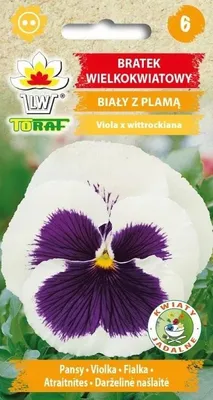 Zdjęcie produktu dla Bratek wielkokwiatowy biały z plamą NAsiona kwiatów 454 Toraf