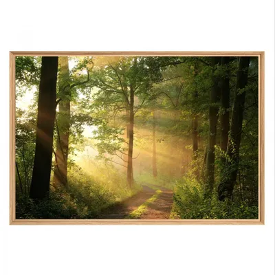 Image de Tableau mural mat encadré rayon de soleil 65x97 cm, Tableau mural moderne pour décoration intérieure