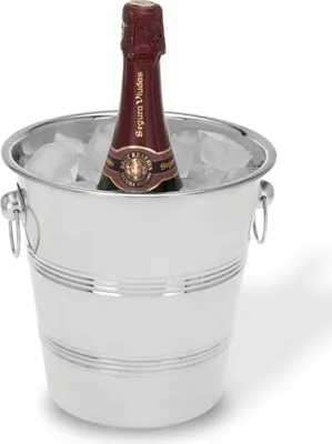 Image de Refroidisseur à bouteille design en acier inoxydable brillant 20,5 cm - Idéal pour refroidir le vin mousseux ou les spiritueux