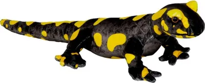 Produktbild von Coppenrath Verlag GmbH & Co.KG Feuersalamander