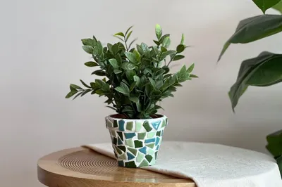 Image de Kit de bricolage mosaïque - Pots de fleurs (2 pièces) - Vert