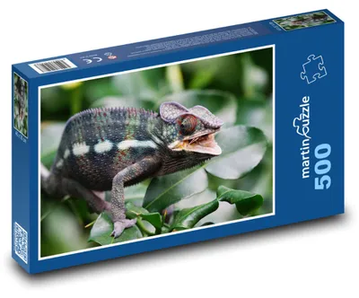 Produktbild von Puzzle 500 Chamäleon in der Natur - martinpuzzle