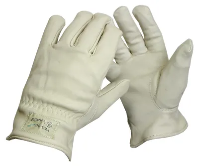 Produktbild von Fahrerhandschuh Classic Gr.8 für Erwachsene, Alltagsnutzer, Uni, Leder, Beiläufig, Klassisch, Einfarbig, Normal, Pull On, Männer