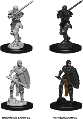 Obrázek produktu pro Dungeons & Dragons Nolzurovy úžasné miniaturní figurky - Ženský lidský bojovník