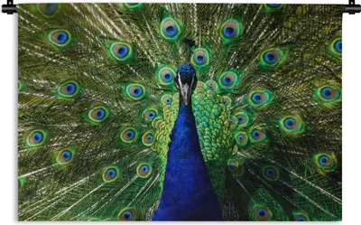 Produktbild von MuchoWow® Wandteppich Wandbehang Pfau - Federn - Augen 150x100 cm Tapisserie Dekoration Wandtuch - Waschbar - Tapisserien - Wand-Decke