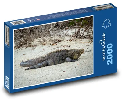 Obrázok produktu pre Puzzle 2000 Leguán na tropickej pláži - martinpuzzle