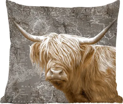 Produktbild von MuchoWow® Zierkissen Sofakissen Wohnzimmer Dekokissen 50x50 cm Schottisches Hochlandrind - Weltkarte - Tiere - Komfort - Sofakissen