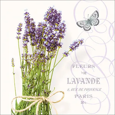 Produktbild von Ambiente Serviette 33 cm Bündel oder Lavendel