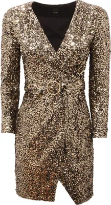 Produktbild von 3263Av Pinko Ottaviano Frau Paillettenkleid