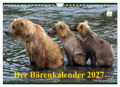 Produktbild von Der Bärenkalender 2027 (Wandkalender 2027 DIN A4 quer), CALVENDO Monatskalender