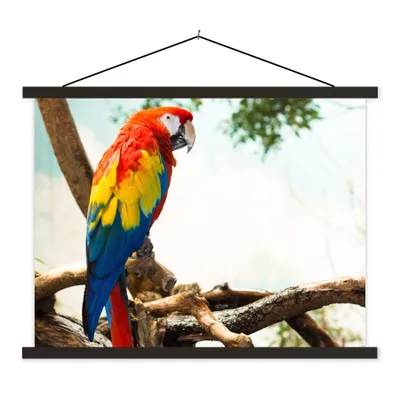 Produktbild von MuchoWow® Textilposter Papagei - Vogel - Regenbogen - Tropisch 150x113 cm mit holzfarbenen Rahmen - Poster