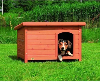 Zdjęcie produktu dla TRIXIE Natura Flachdach-Hundehütte
