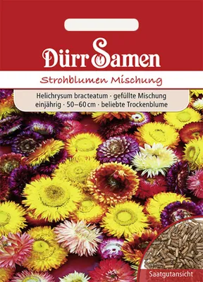 Produktbild von Strohblumen Mischung | Strohblumensamen von Dürr Samen