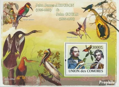 Produktbild von Briefmarken Komoren 2008 Mi Block 457 (kompl. Ausg.) postfrisch John James Audubon & John Gould & Vögel
