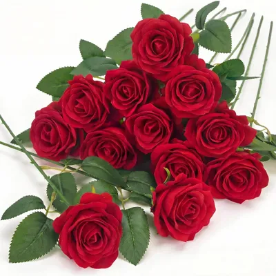 Künstliche Rote Rosen, 12 Stück, Seide, 49 cm, für Dekoration