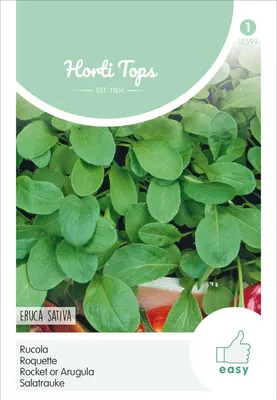 Produktbild von Salatrauke - Eruca Sativa | Rucola- / Raukesamen von Hortitops