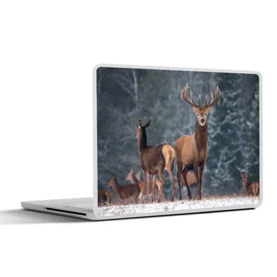 Produktbild von MuchoWow® Laptop Aufkleber Sticker Cover Waldtiere - Hirsche - Landschaft - Winter - Schnee - Natur 30x22 cm - Laptop-Sticker