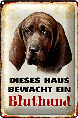 Produktbild von Blechschild Hund 20x30cm dieses Haus bewacht ein Bluthund